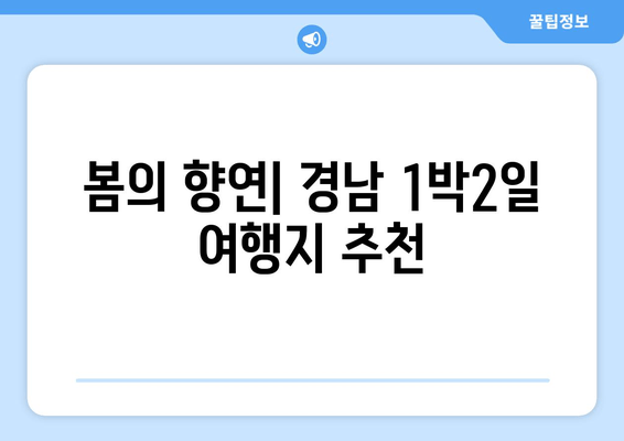 봄의 향연| 경남 1박2일 여행지 추천