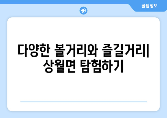 다양한 볼거리와 즐길거리| 상월면 탐험하기