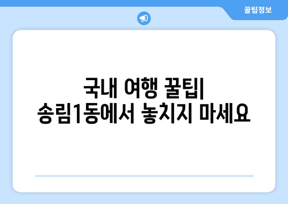 국내 여행 꿀팁| 송림1동에서 놓치지 마세요