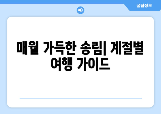 매월 가득한 송림| 계절별 여행 가이드