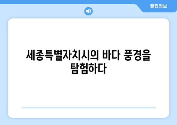 세종특별자치시의 바다 풍경을 탐험하다