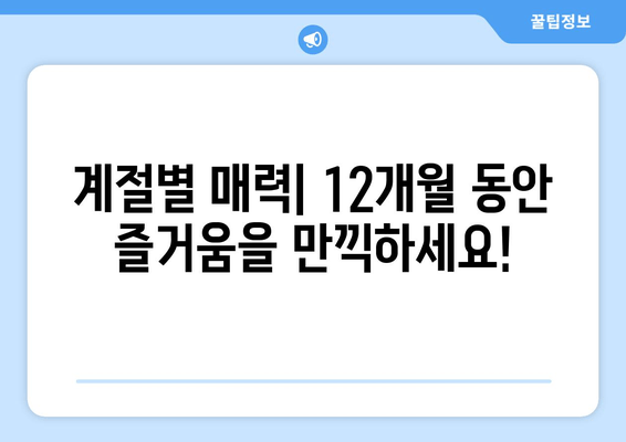 계절별 매력| 12개월 동안 즐거움을 만끽하세요!