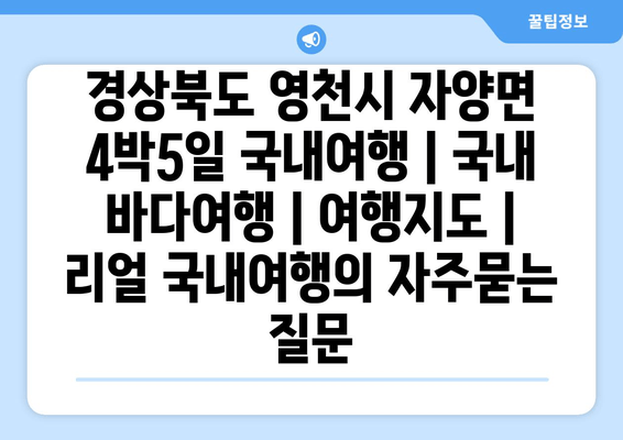 경상북도 영천시 자양면 4박5일 국내여행 | 국내 바다여행 | 여행지도 | 리얼 국내여행