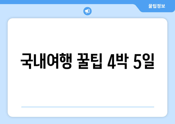 국내여행 꿀팁 4박 5일