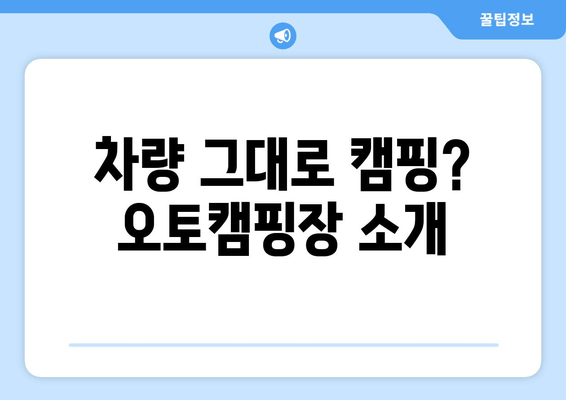 차량 그대로 캠핑? 오토캠핑장 소개