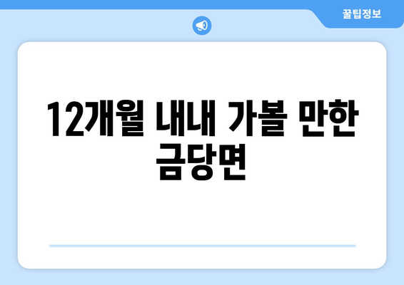 12개월 내내 가볼 만한 금당면