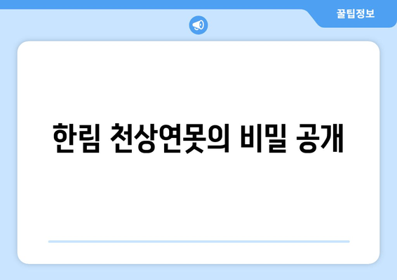 한림 천상연못의 비밀 공개