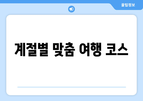 계절별 맞춤 여행 코스