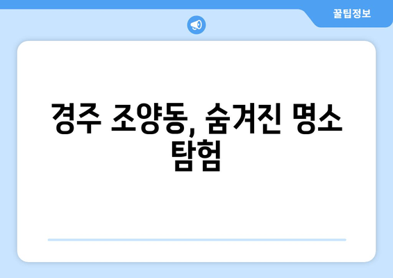 경주 조양동, 숨겨진 명소 탐험