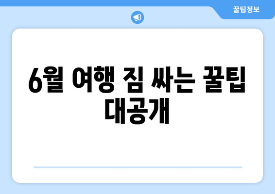 6월 여행 짐 싸는 꿀팁 대공개