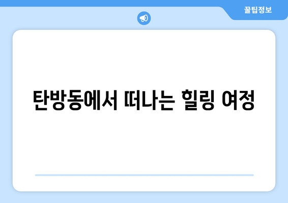 탄방동에서 떠나는 힐링 여정