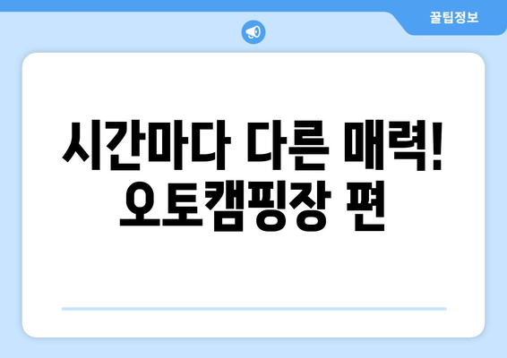 시간마다 다른 매력! 오토캠핑장 편