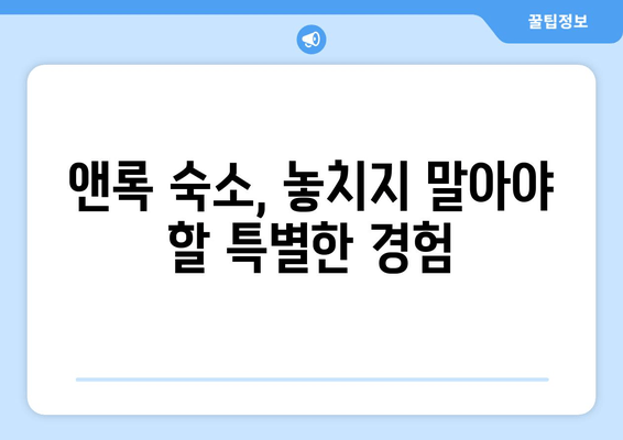 여수 앤록 가성비 숙박 추천| 5만원대부터 럭셔리까지 | 여수 숙소, 앤록 숙박, 가성비 호텔, 여행 정보