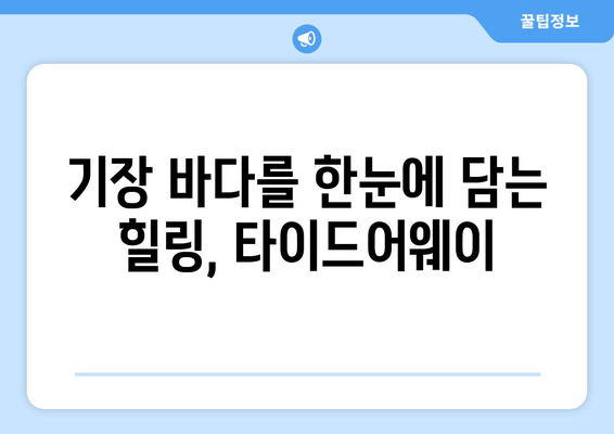 기장 바다를 한눈에! 오션뷰 수영장 펜션, 타이드어웨이 | 부산 기장, 펜션 추천, 여름 휴가