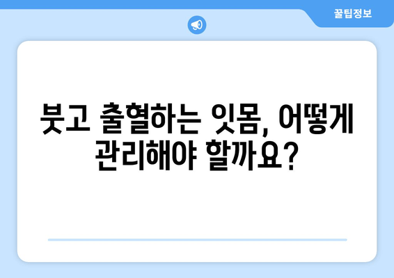 잇몸염 증상 완화를 위한 치약 & 영양제 성분 가이드 | 잇몸 건강, 치주염, 잇몸 붓기, 잇몸 출혈 완화