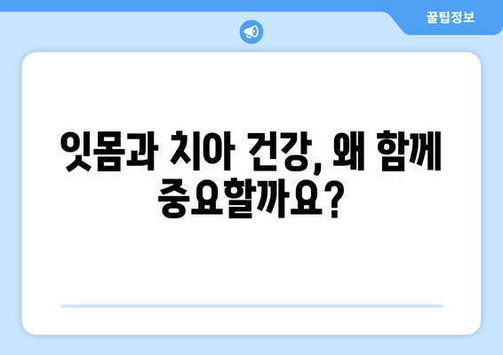 잇몸 건강과 치아 건강, 한 번에 잡는 영양제 선택 가이드 | 잇몸 건강, 치아 건강, 영양제 추천