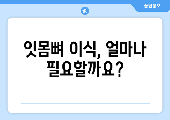 잇몸뼈 상태 진단 후 뼈 이식, 비용 얼마나 들까요? | 뼈 이식 비용, 잇몸뼈 이식, 치과 치료 비용