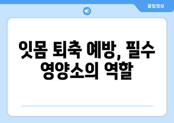 치은 내려앉음 예방, 영양제로 관리하는 방법 | 치은 퇴축, 잇몸 건강, 영양 보충, 건강 정보