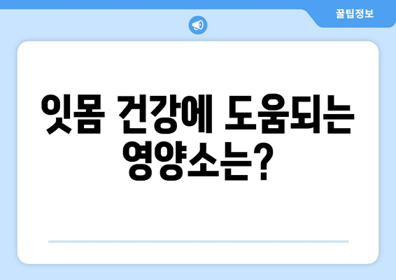 잇몸내려앉음, 영양제로 건강한 잇몸 되찾는 방법 | 잇몸 건강, 영양제 추천, 잇몸 내려앉음 관리