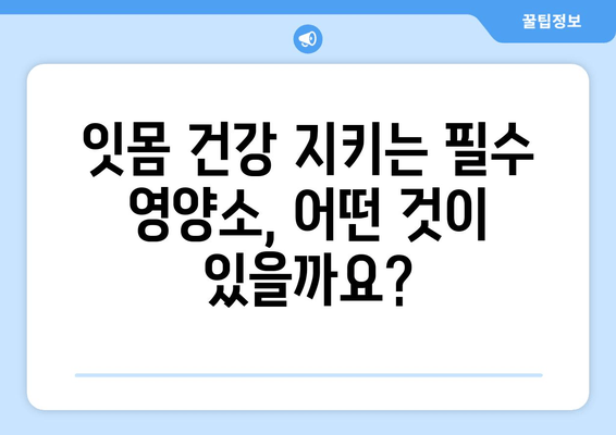 치은출혈 개선에 효과적인 치아 건강 영양제| 종류 & 추천 | 치은염, 잇몸 질환, 잇몸 출혈