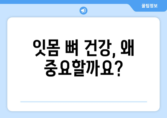 잇몸 뼈 건강 지키기| 예방부터 치료까지 완벽 가이드 | 잇몸 뼈, 잇몸 질환, 치주 질환, 치과 건강