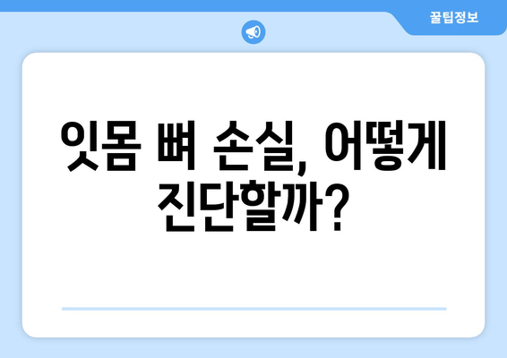 잇몸 뼈 손실 진단| 원인 파악과 조기 발견 | 치주 질환, 잇몸 건강, 치과 검진, 예방법