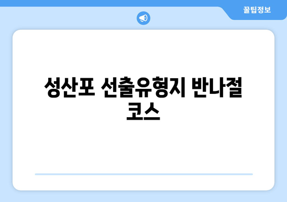 성산포 선출유형지 반나절 코스