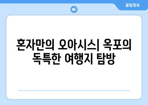 혼자만의 오아시스| 옥포의 독특한 여행지 탐방