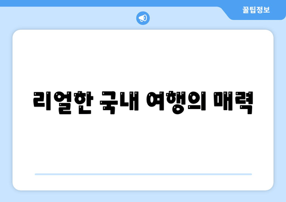 리얼한 국내 여행의 매력