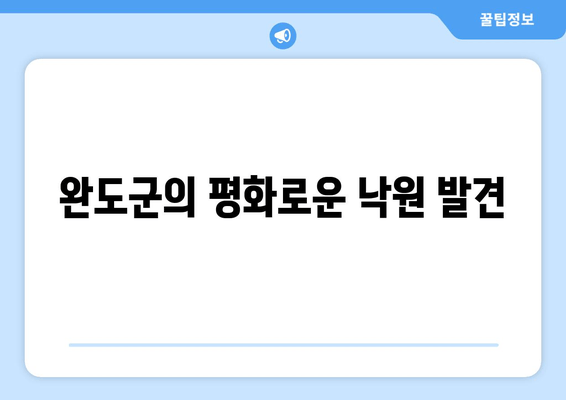 완도군의 평화로운 낙원 발견