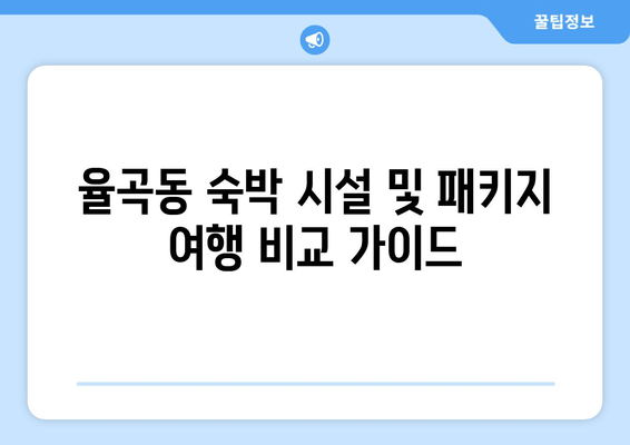 율곡동 숙박 시설 및 패키지 여행 비교 가이드