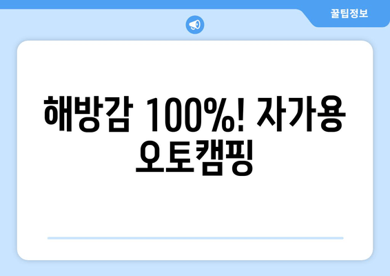 해방감 100%! 자가용 오토캠핑