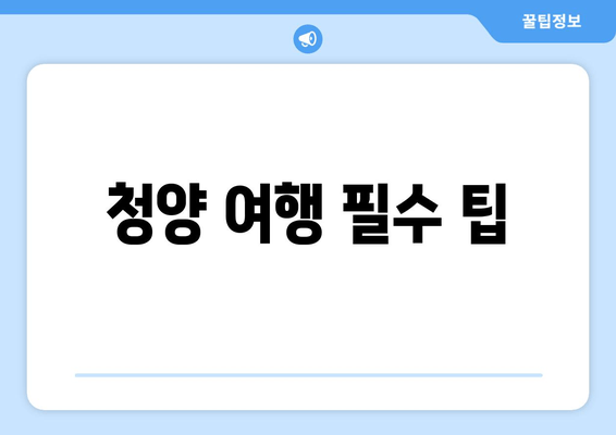 청양 여행 필수 팁