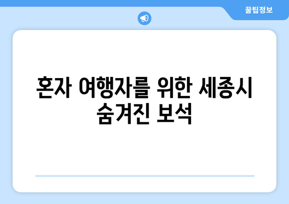 혼자 여행자를 위한 세종시 숨겨진 보석