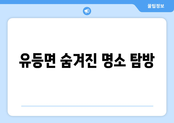 유등면 숨겨진 명소 탐방