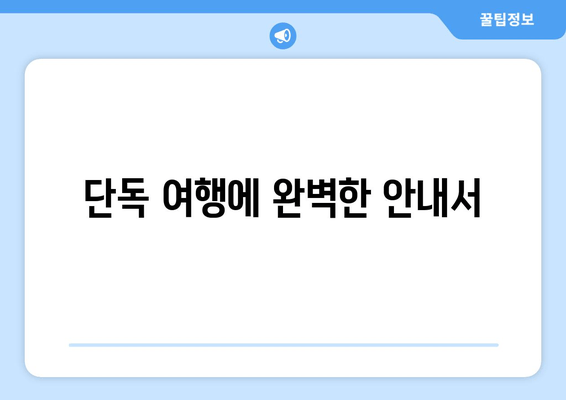 단독 여행에 완벽한 안내서