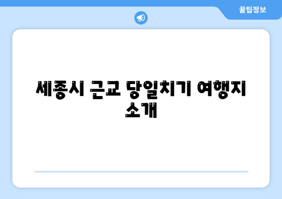 세종시 근교 당일치기 여행지 소개