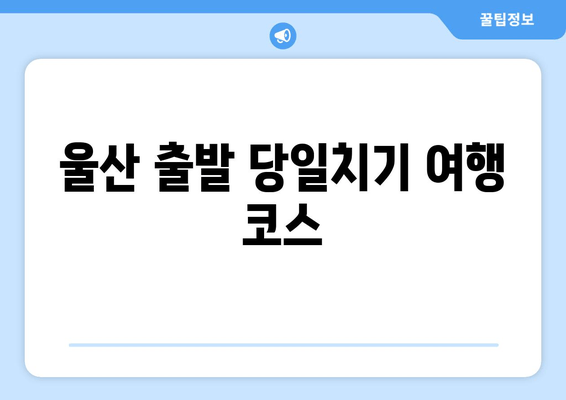 울산 출발 당일치기 여행 코스