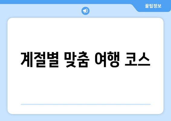 계절별 맞춤 여행 코스