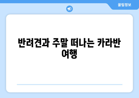 반려견과 주말 떠나는 카라반 여행