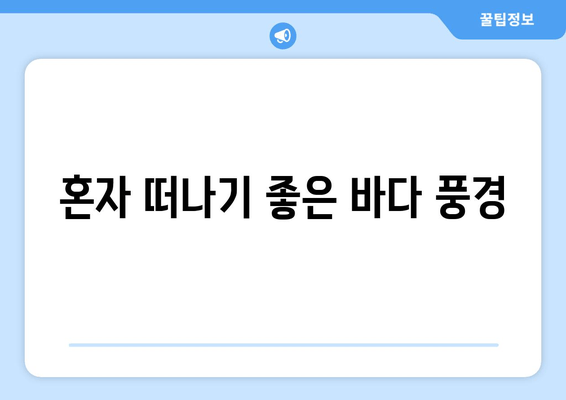 혼자 떠나기 좋은 바다 풍경