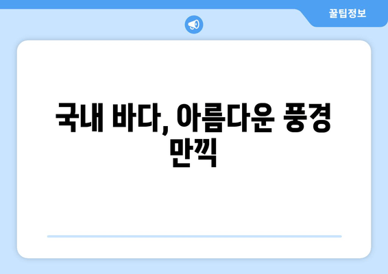 국내 바다, 아름다운 풍경 만끽