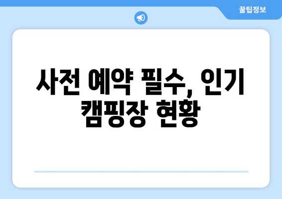 사전 예약 필수, 인기 캠핑장 현황