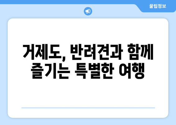 거제도 반려견과 함께 떠나는 행복한 여행| 베일리 펜션 애견 숙소 추천 | 거제도 애견 동반 여행, 펜션, 숙소, 추천, 가이드