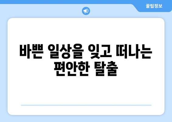 통영 마리나 리조트에서 즐기는 완벽한 휴식 | 편안한 탈출, 럭셔리 숙박, 액티비티, 맛집