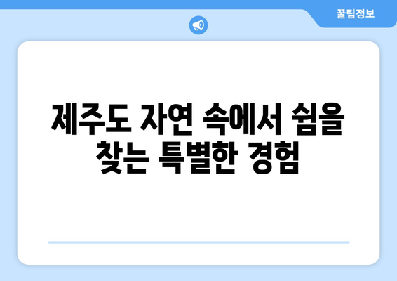 제주 휘슬락 호텔| 제주도에서 찾는 평화로운 휴식 | 제주도 호텔 추천, 힐링 여행, 조용한 휴식처