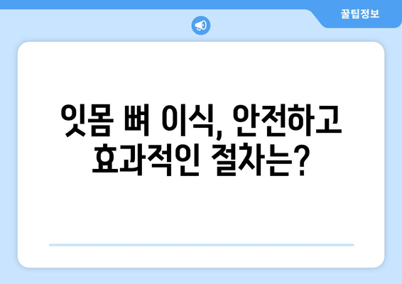 잇몸 뼈 이식, 이제 망설이지 마세요| 절차부터 혜택까지 상세 가이드 | 잇몸 재건, 치아 이식, 임플란트, 뼈 이식, 치과 치료