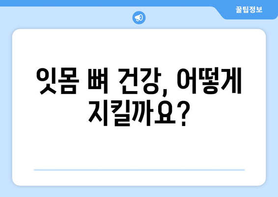 잇몸 뼈 건강 지키는 영양제와 식단 가이드 | 잇몸 건강, 영양, 식단, 뼈 건강, 건강 관리