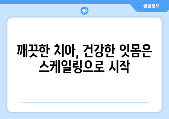 잇몸 건강 지키는 필수템! 스케일링의 중요성 | 인천 서울365치과, 잇몸 치료, 치주 질환 예방
