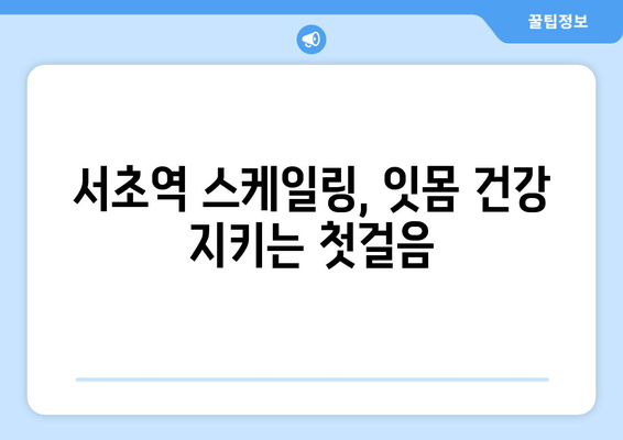서초역 스케일링, 잇몸 건강 지키는 필수 선택 | 치과 추천, 비용, 예약 정보